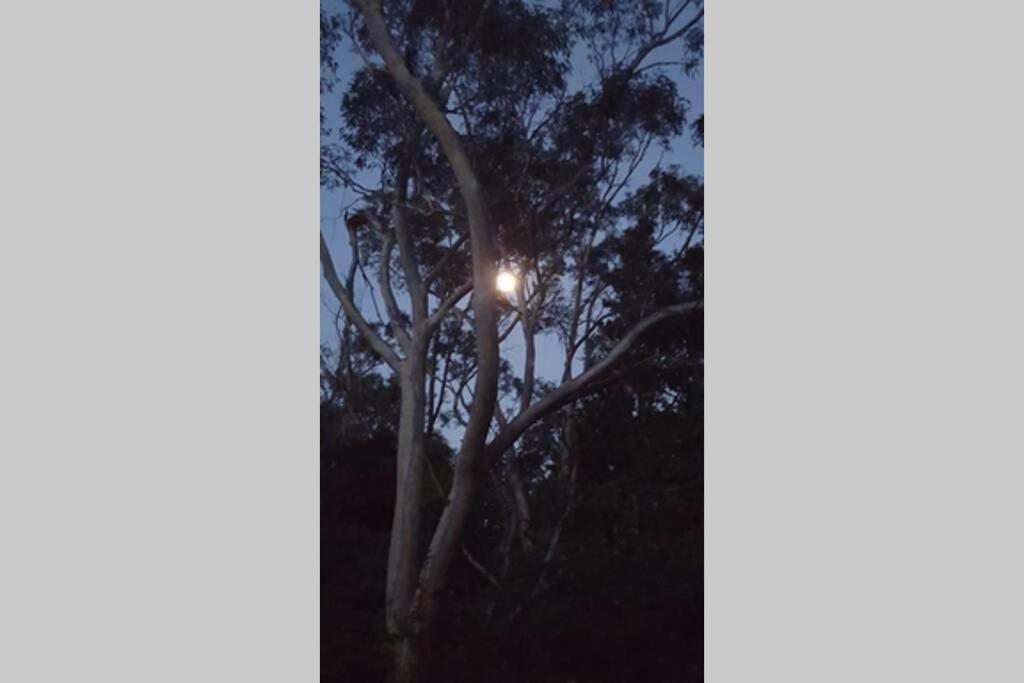 Falls - A Blue Mountains Experience Villa Wentworth Falls